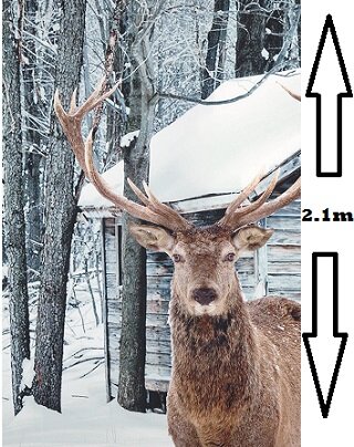 Deluxe Snowy Reindeer Material Backdrop