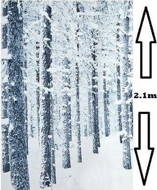 Deluxe Snowy Trees Material Backdrop