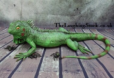 Rubber Lizard