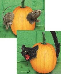 Pumpkin Push In Animal Decoration